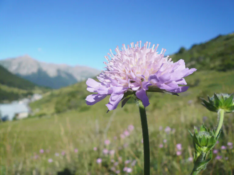 Vacances de printemps